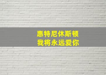 惠特尼休斯顿 我将永远爱你